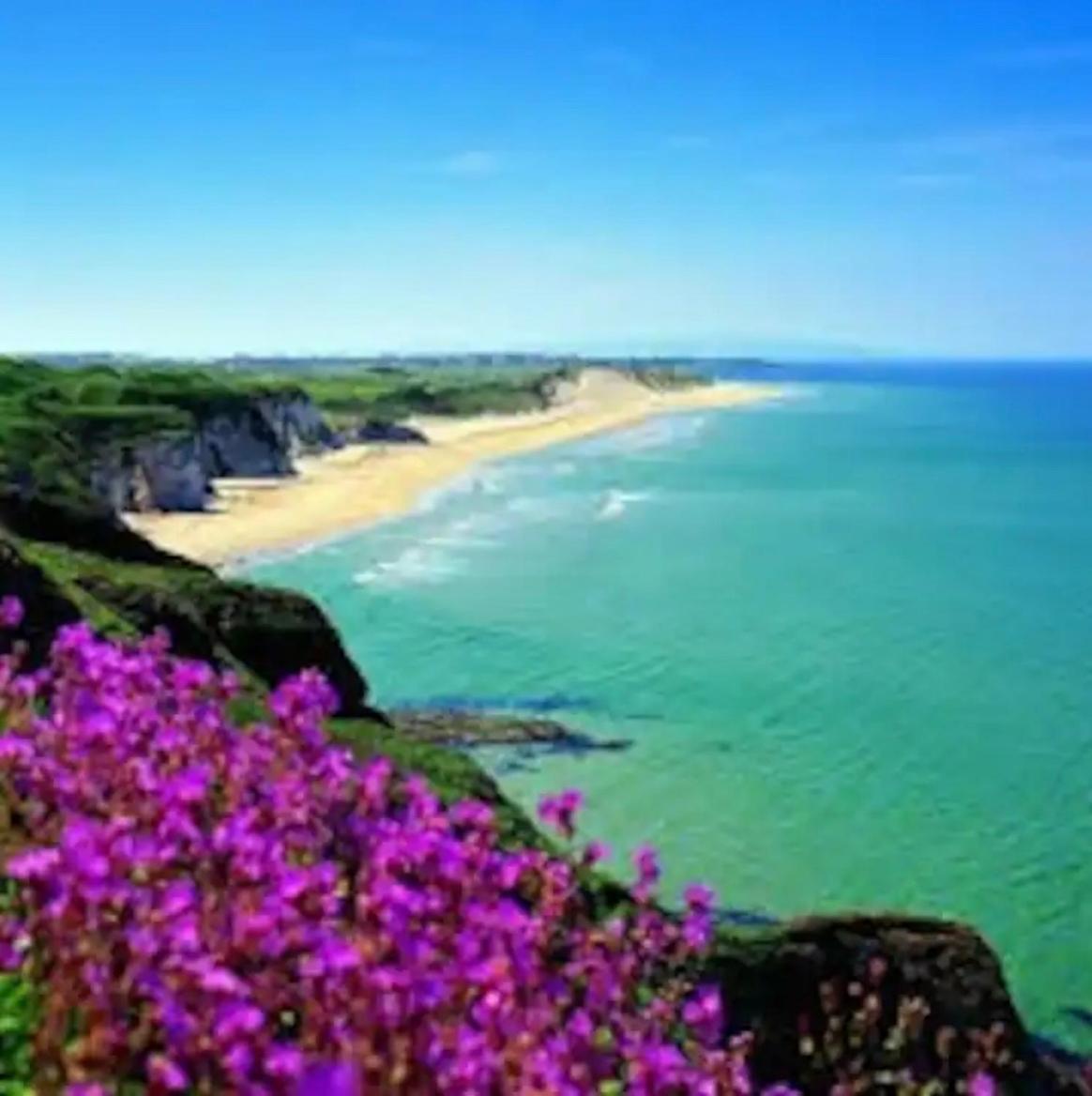 Horizon View Tourist Board Approved *